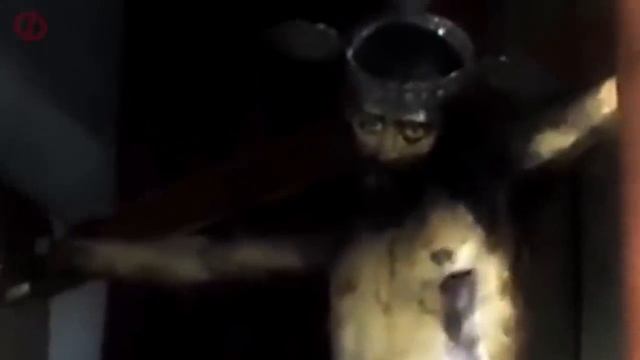 Если Бы ЭТО не Сняли на Камеру Никто бы Не Поверил!