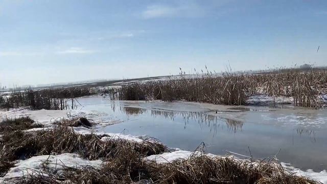 Небольшая фотосъёмка в начале весны(A small photo shoot in early spring) смотреть онлайн