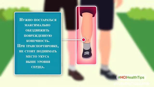 Забавные Пушистики