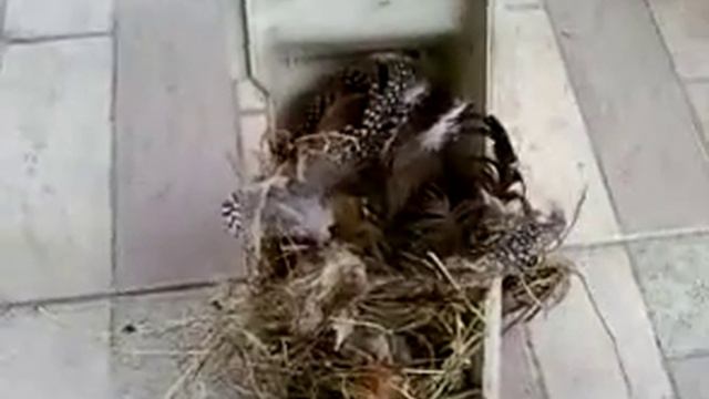 какие бывают кондиционеры смотреть онлайн