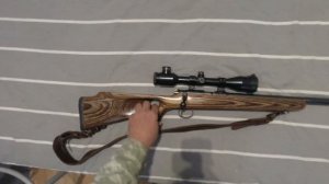 Выбор мелкашки, болтовик или полуавтомат ???