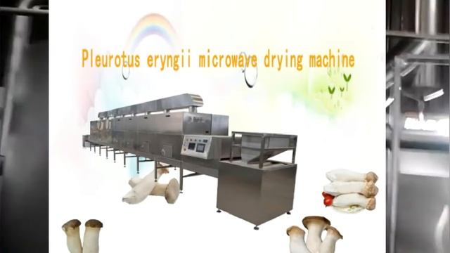 Pleurotus eryngii microwave drying machine смотреть онлайн