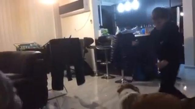 Еврейские танцы смотреть онлайн