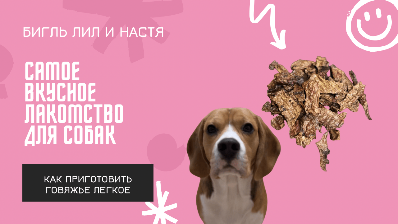 Вкусное и полезное лакомство для собак|Готовим говяжье лёгкое в электросушилке смотреть онлайн