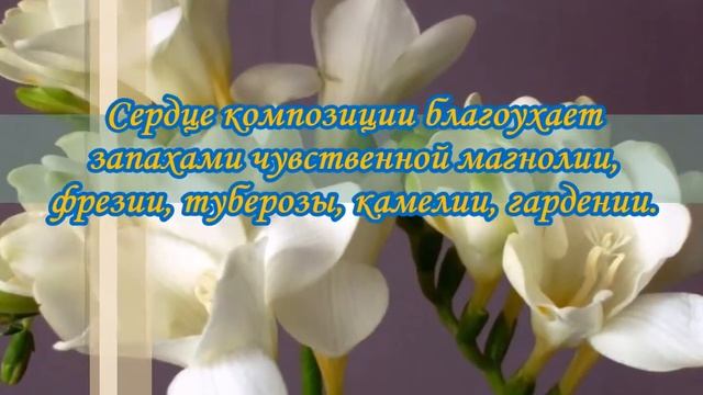 FAKHR AL JAMAAL ФАХР АЛ ДЖАМАЛЬ 20 МЛ АРАБСКИЕ МАСЛЯНЫЕ ДУХИ ОТ АФНАН ПАРФЮМ AFNAN PERFUMES смотреть онлайн