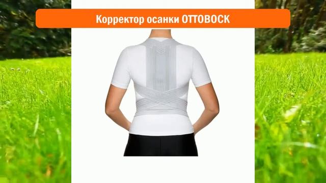 Корректор осанки OTTOBOCK обзор