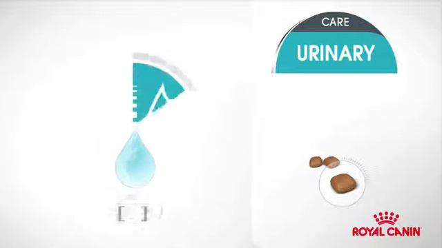 Royal Canin Urinary care смотреть онлайн