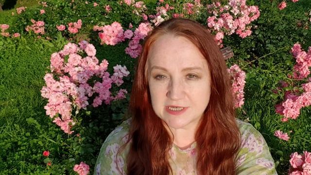 Птичка и почка смотреть онлайн