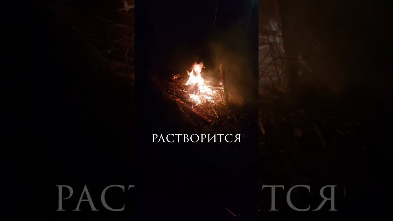 Alienations - Утраченное время (lyric video) #Shorts #shortsvideo #music #rockstar #lyrics смотреть онлайн