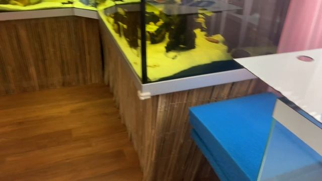 Новый аквариум с встроенной фильтрацией смотреть онлайн