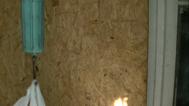 куры Ломан Браун на мясо смотреть онлайн