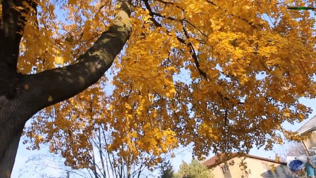 Дуэт Интуиция Блюз октября смотреть онлайн