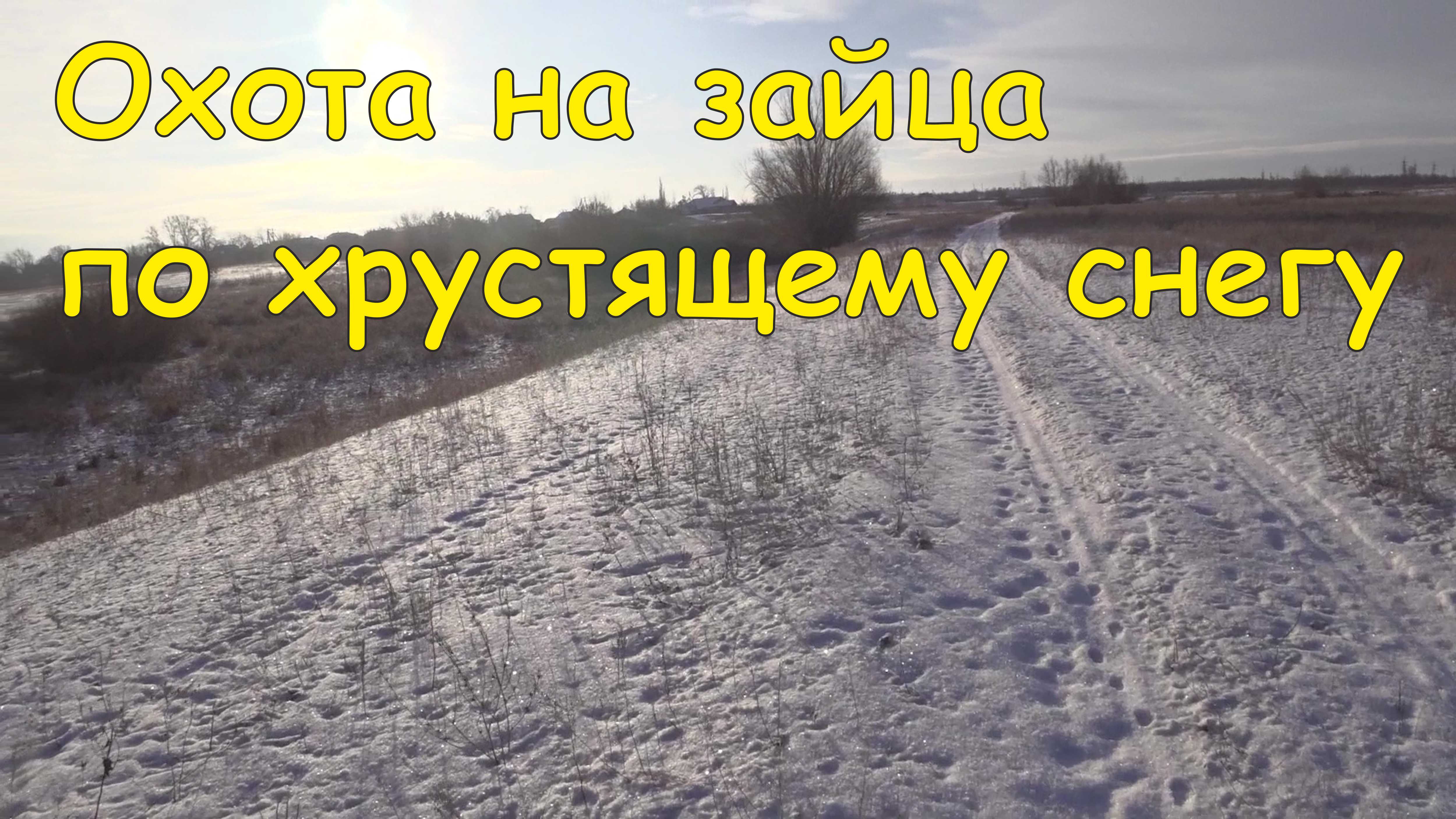 Охота на зайца по хрустящему снегу смотреть онлайн