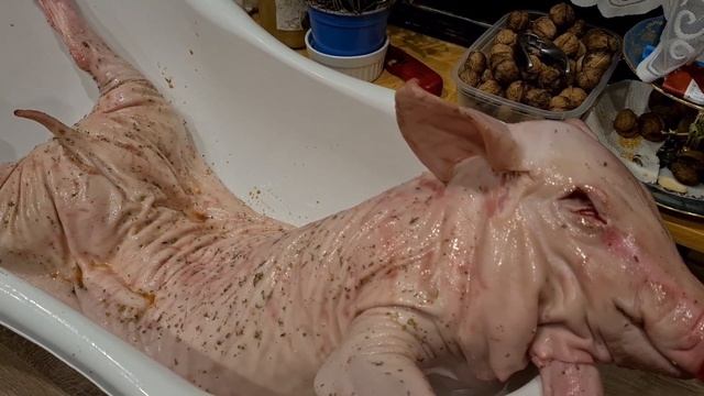 МОЛОЧНЫЙ ПОРОСЕНОК НА ВЕРТЕЛЕ. Новогодний рецепт. Spanferkel Am Spieß / Suckling Pig On A Spit.