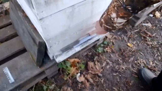 контроль по клещу смотреть онлайн