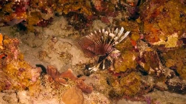 послушайте эту музыку и вам станет легче?Нежная музыка,успокаивает нервную систему и радует душу #8 смотреть онлайн