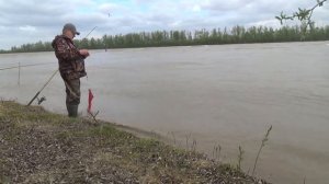 Как ловить на Китайскую сетку с кормушкой на течении. Ловим живца на щуку.