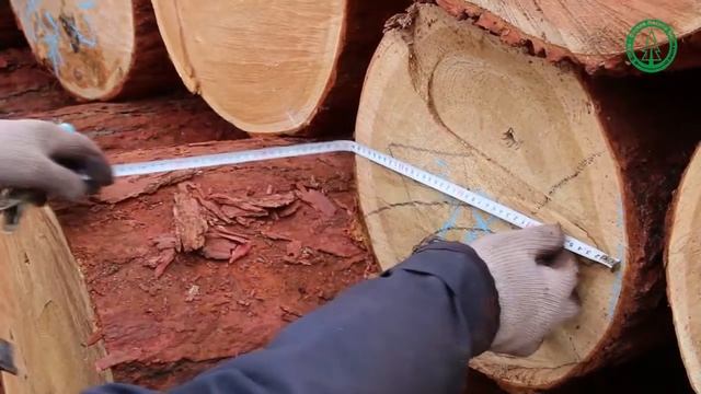 Стих про Лесную компанию (1 минута). смотреть онлайн