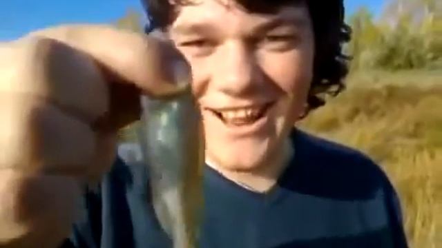 Топ 10 неадекватов смотреть онлайн