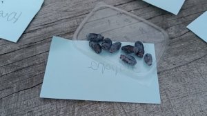 Обзор сортов жимолости 2022. Восторг, Югана, Усульга, Близард, Сердце гиганта, Аврора.