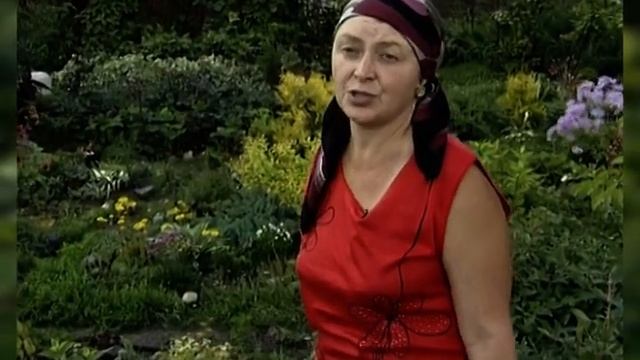 Что нужно для великолепия хосты смотреть онлайн