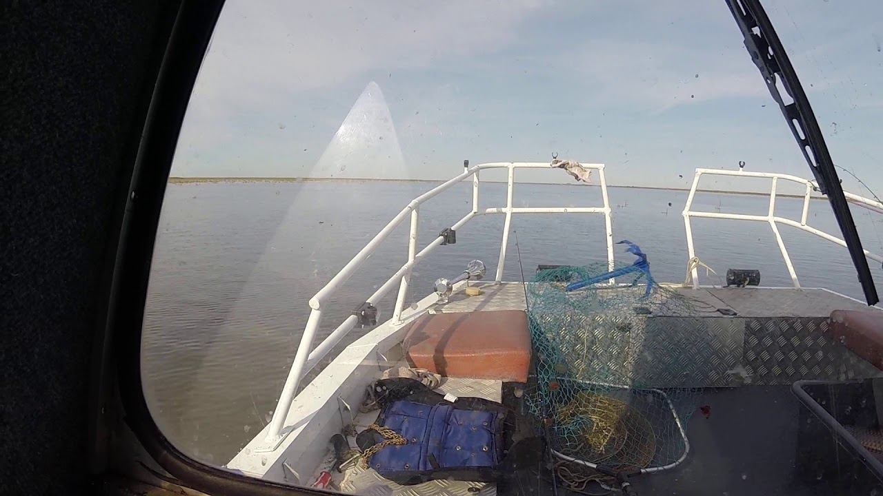 Осень 2020 смотреть онлайн