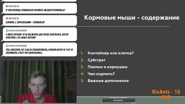 Стрим! Кормовые мыши для ваших рептилий. КОРМИМ ЗМЕЙ В ЭФИРЕ