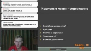 Стрим! Кормовые мыши для ваших рептилий. КОРМИМ ЗМЕЙ В ЭФИРЕ