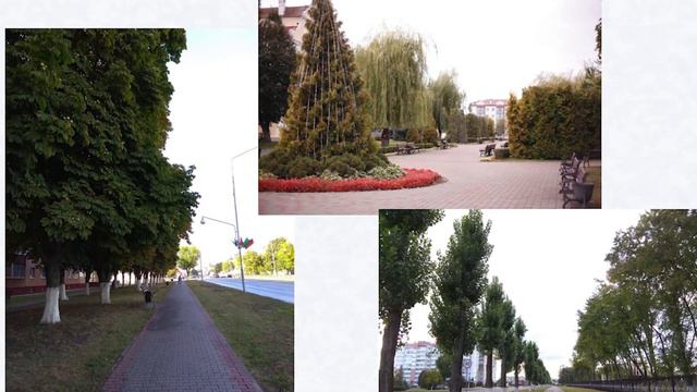 Аппаратное совещание. Озеленение территорий города смотреть онлайн