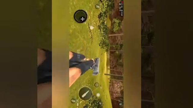 Trying new game hunter animal 2020 vara level смотреть онлайн