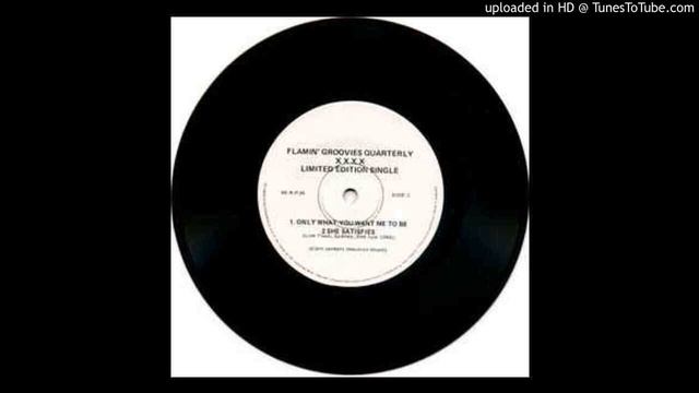 I'm Only What You Want Me to Be - Flamin Groovies смотреть онлайн