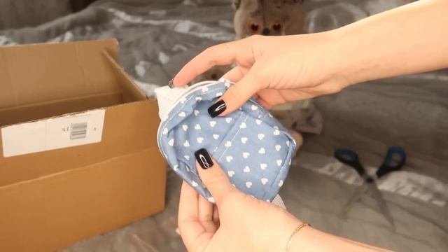 Влог с Басиками | распаковка одежды для кота Басика