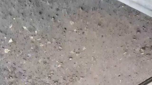 Citroen - красота и мощь