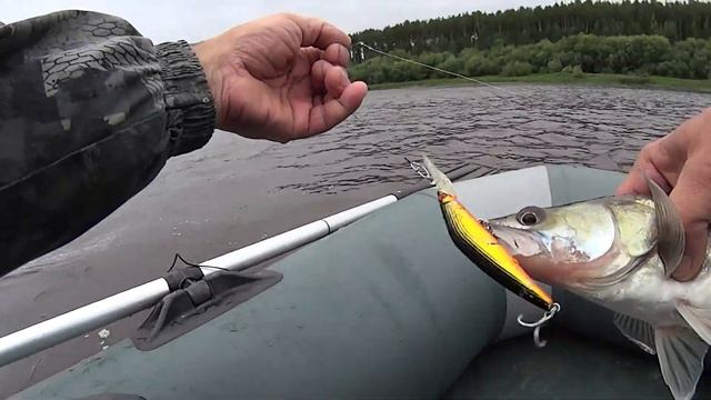 Глубинные Воблеры. Ловля хищника на реке ! смотреть онлайн