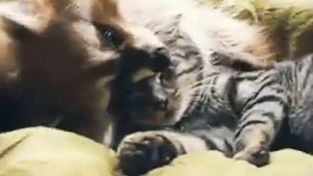 Не грусти, иди ко мне. / Do not be sad, come to me. смотреть онлайн