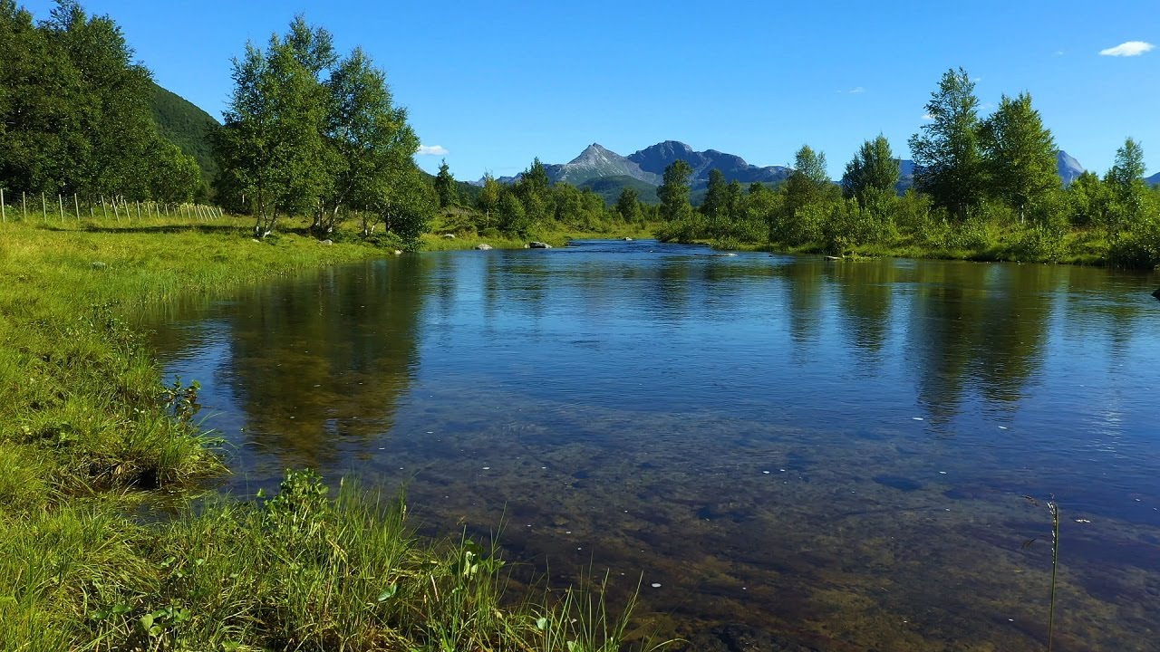Relaxing. Звук Тихого Течения Реки. Атмосфера Белого Шума Для Сна, Учебы ✦ Звуки Природы ✦ Relax смотреть онлайн
