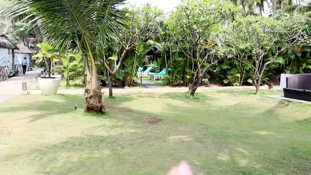 Riva Beach Resort Review | North Goa Best Property? is it worth or not ? смотреть онлайн