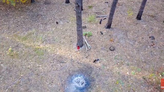 как етают жиейный медведи??? смотреть онлайн