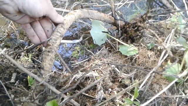 Метало поиск. Попытки откапать трубы и шестерки проволоки. смотреть онлайн