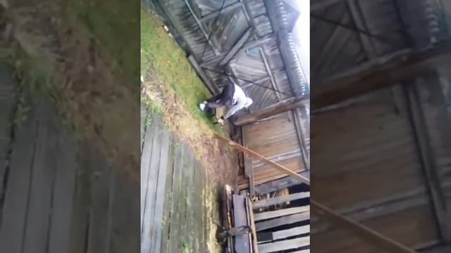 Тасеево- паркур.Миша.Ф. смотреть онлайн