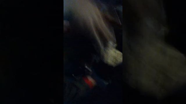 кольщик смотреть онлайн