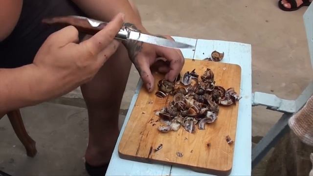 Ко и О #96 ПУТЕШЕСТВИЕ К ЧЁРНОМУ МОРЮ смотреть онлайн