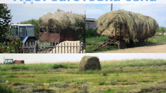 Белогорский живёт, а не существует смотреть онлайн