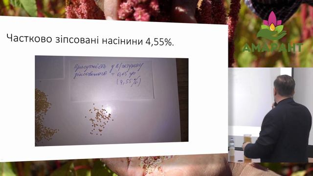 Досвід очистки амаранту на фотосепараторах Meyer смотреть онлайн