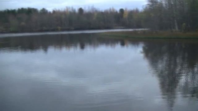 Осень. Гуси улетают. смотреть онлайн