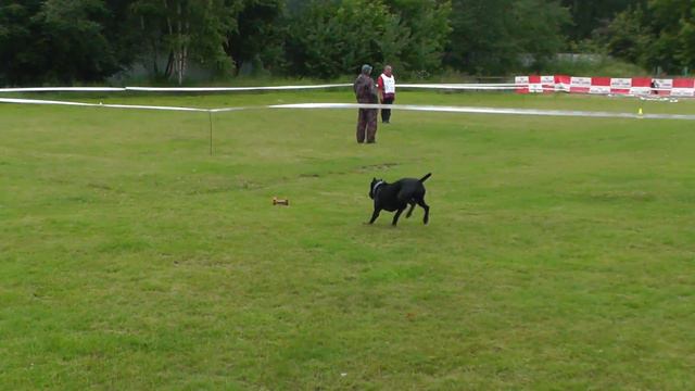 Чемпионат ЦФО 2017 г. по ОКД и ЗКС. смотреть онлайн