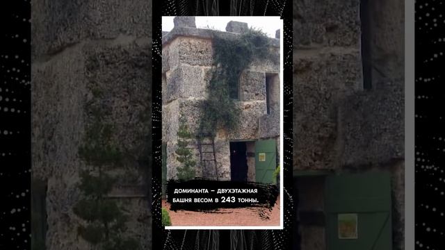 КАК ОН ЭТО ПОСТРОИЛ? / Загадка "кораллового замка" в США #shorts смотреть онлайн