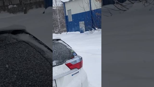 Пузотёрка Зимой Хонда Шаттл смотреть онлайн