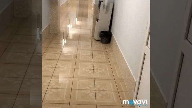 Отель «Демократия» в Сукко . Все включено друзья?? смотреть онлайн