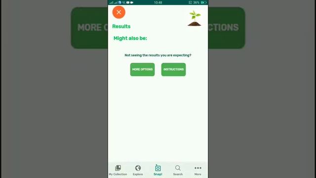 PlantSnap identifies a Bright bead cotoneaster (Cotoneaster glaucophyllus) смотреть онлайн
